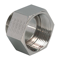 361G.29.08 Brass G 1 Inch (in) to PG29 Extension Adapter primary