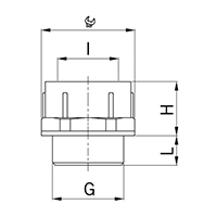 3716.21 Lightgrey Polyamide PG16 to PG21 Extension secondary