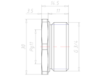 Brass G 3/4 Inch (in) to PG11 Reduction Flange Adapter