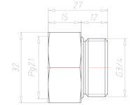 Brass G 3/4 Inch (in) to PG21 Extension Adapter