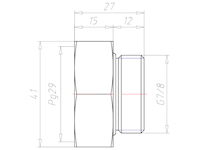 Brass G 7/8 Inch (in) to PG29 Extension Adapter