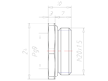 Brass M20x1.5 to PG 9 Reduction Flange Adapter