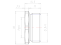 Brass G 3/4 Inch (in) to PG11 Reduction Flange Adapter