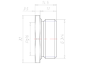 Brass G 3/4 Inch (in) to PG16 Reduction Flange Adapter
