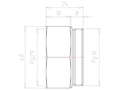 Brass PG16 to PG29 Extension