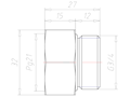 Brass G 3/4 Inch (in) to PG21 Extension Adapter