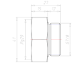 Brass G 7/8 Inch (in) to PG29 Extension Adapter