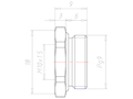 Brass PG 9 to M10x1.5 with 18 Millimeter (mm) Wrench Size Ex e II Reduction Flange